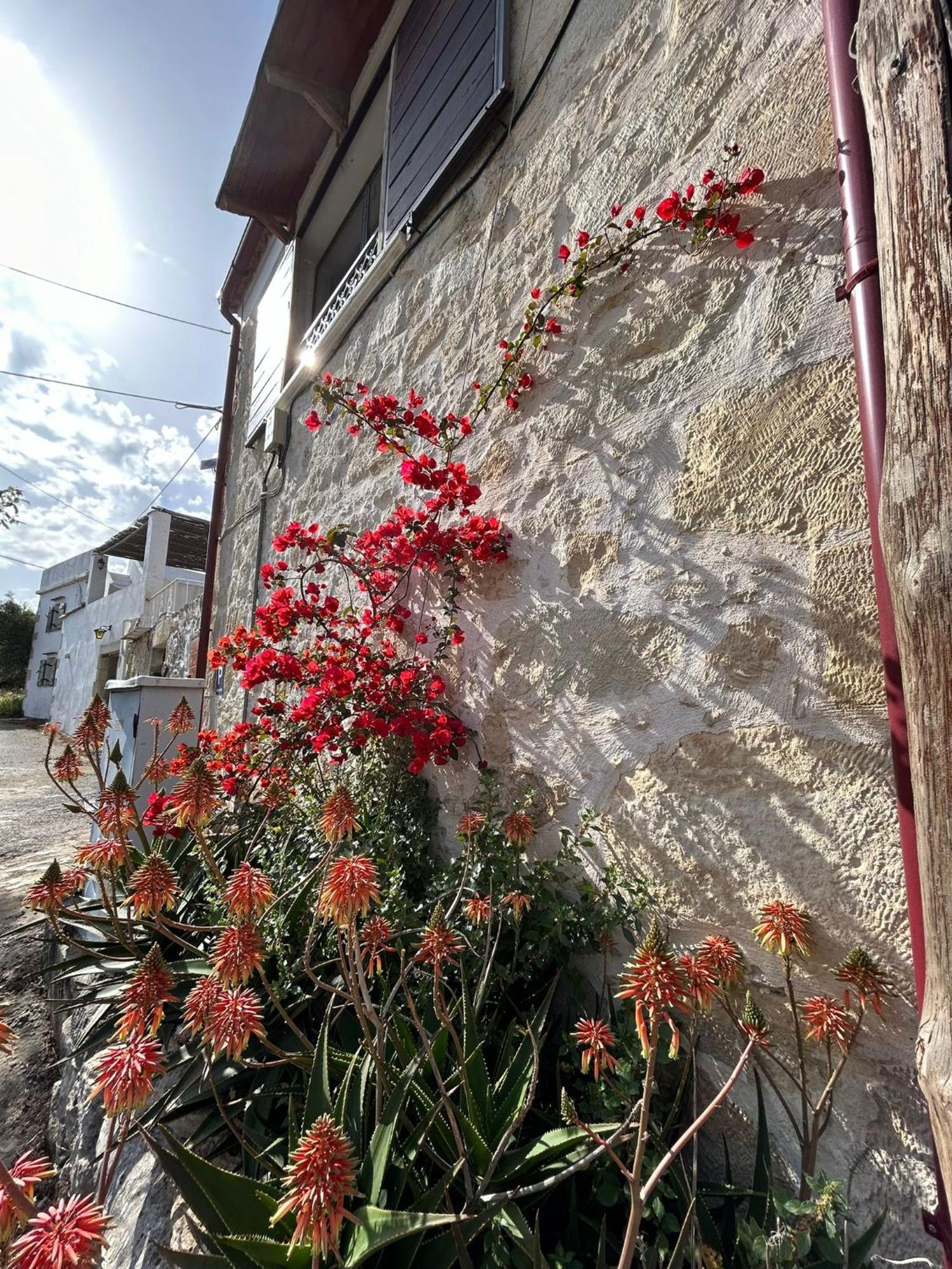 Old Stone Villa In Apokoronas Villa Nostalgia Kreta Fílippos Екстериор снимка