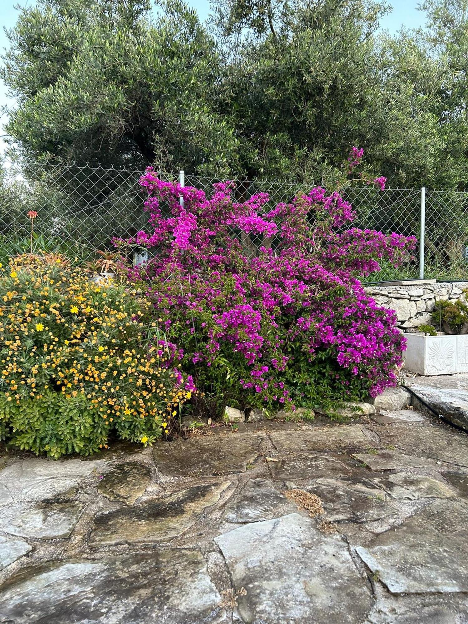 Old Stone Villa In Apokoronas Villa Nostalgia Kreta Fílippos Екстериор снимка